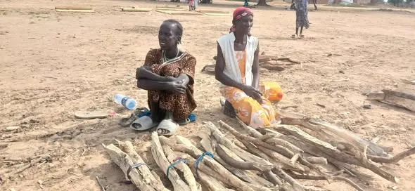 Two women selling firewood at Turalei Market in Twic County, Warrap State. (Image Credit: Majok Kuol/Twic Media Reports)
